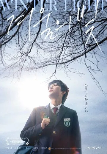 Зимний свет